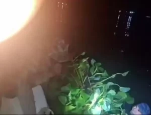 Ağaçla kendini kamufle eden sigara kaçakçısı suda hareket edince yakayı ele verdi