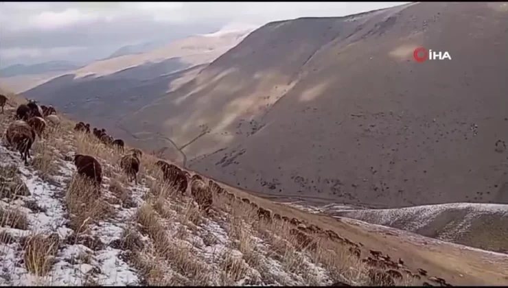 Ağrı’da Kar Yağışı Başladı