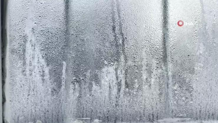 Ağrı’da Sert Kış: Buz Sarkıtları Oluştu