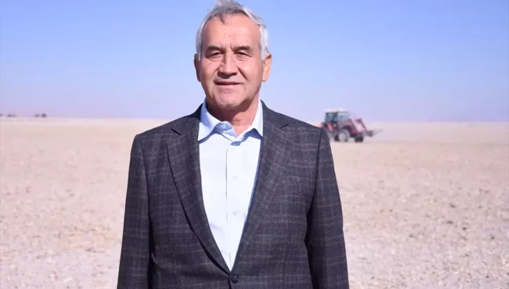 Ahmet Buğdayı Tohumları Yeniden Ekildi