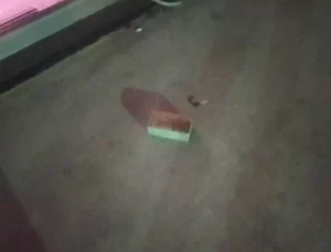 AK Parti Beylikdüzü’ne Saldırı