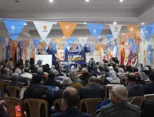 AK Parti Tosya Kadın Kolları Kongresi Yapıldı