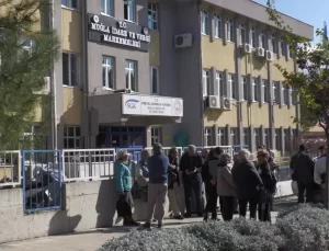 Akbelen Ormanı’nda Ağaç Katliamı Davası