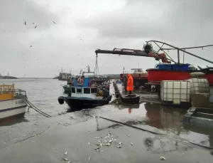 Akçakoca’da Kuvvetli Rüzgar ve Sağanak