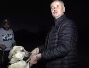 Alanya’da Avokado Hırsızlığı Üreticileri Tedirgin Ediyor