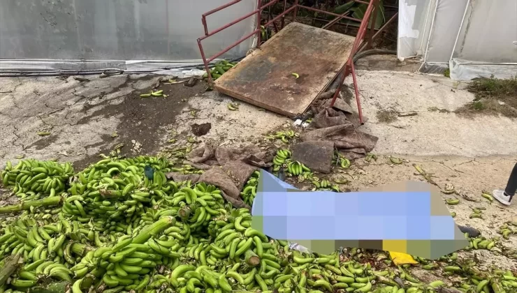 Alanya’da Muz Taşıma Kazası: 2 Ölü