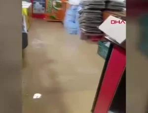 Alanya’da Sağanak ve Fırtına Tarım Alanlarına Zarar Verdi