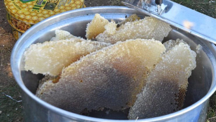 “Altın Bal” ödülüne layık görüldü: Kilosu 2 bin TL’yi buluyor