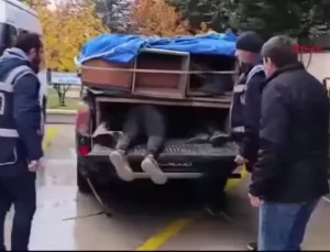 Amasya’da Kaçak Göçmen Taşıyan 2 Şüpheli Tutuklandı