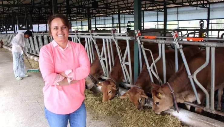Amasya’da Kadın Girişimciden Süt Çiftliği
