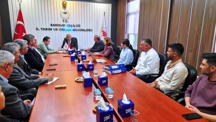 Anadolu Mandası Projesiyle Manda Yetiştiriciliği Artıyor