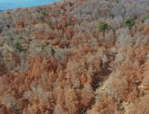 Andırın’ın Sonbahar Güzellikleri