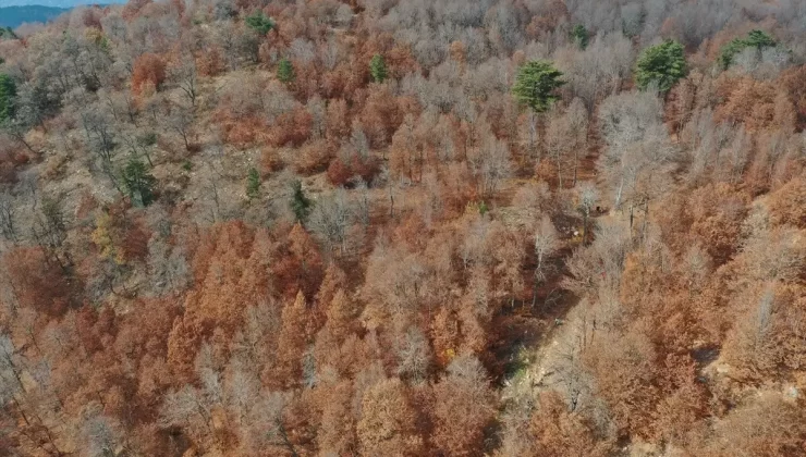 Andırın’ın Sonbahar Güzellikleri