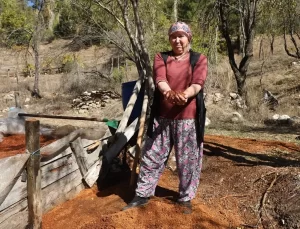 Andız Kozalaklarından Ekonomik Pekmez