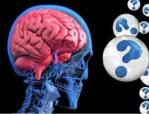 Anılar Vücudun Farklı Bölümlerinde Saklanıyor