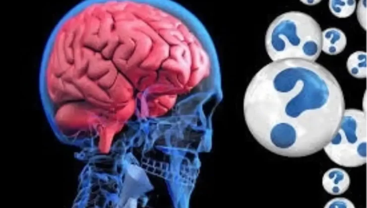 Anılar Vücudun Farklı Bölümlerinde Saklanıyor