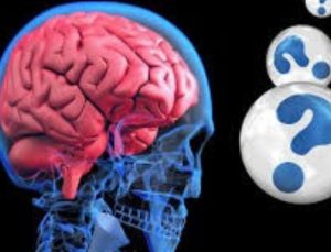 Anılarun sadece beyinde saklanmadığı tespit edildi