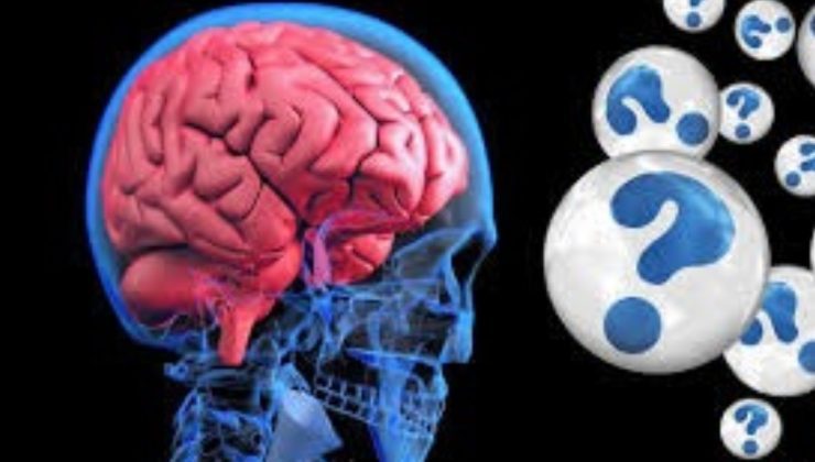 Anılarun sadece beyinde saklanmadığı tespit edildi