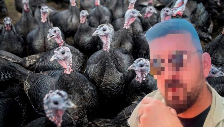 Ankara’da 50 milyonluk vurgun! Çiftlik Bank’tan sonra şimdi de Hindi çiftliği