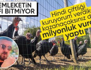 Ankara’da yeni ‘Çiftlik Bank’ vakası: 50 milyonluk hindi çiftliği vurgunu ortaya çıktı