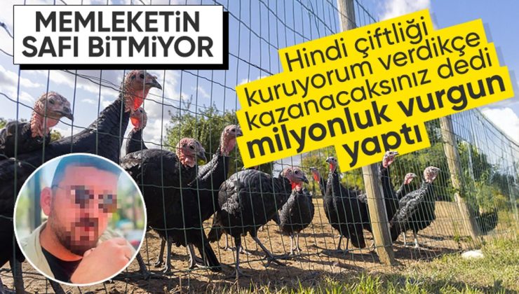 Ankara’da yeni ‘Çiftlik Bank’ vakası: 50 milyonluk hindi çiftliği vurgunu ortaya çıktı