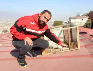 Antakya’da Sansar Sorunu