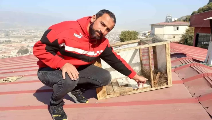 Antakya’da Sansar Sorunu