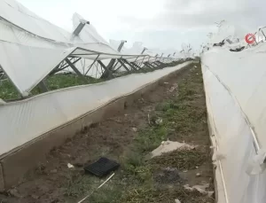 Antalya Büyükşehir Belediyesi, Hortumdan Zarar Gören Çiftçilere Destek Verdi