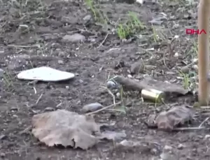 Antalya’da Aileler Arasında Çocuk Parkında Silahlı Kavga: 4 Yaralı, 2 Tutuklama