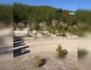 Antalya’da Alageyiklere Yeni Alan