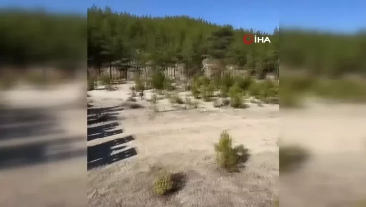 Antalya’da Alageyiklere Yeni Alan