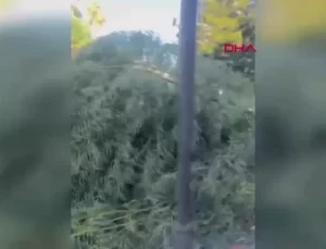 Antalya’da Fırtına Can ve Mal Kaybına Neden Oldu