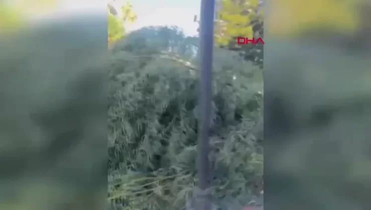 Antalya’da Fırtına Can ve Mal Kaybına Neden Oldu