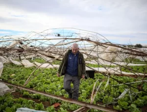 Antalya’da Fırtına ve Hortum, Tarım Arazilerine Zarar Verdi
