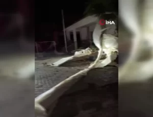 Antalya’da Hortum Felaketi: Evsiz Kalanlar ve Zarar Gören Seralar