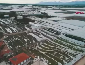 Antalya’da Hortum ve Fırtına Tarım Arazilerine Zarar Verdi