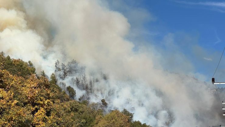 Antalya’da orman yangını: Rüzgarın etkisiyle büyüdü