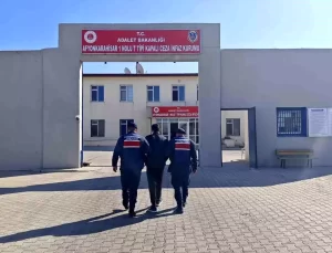 Aranan Şahıs Jandarma Tarafından Yakalandı