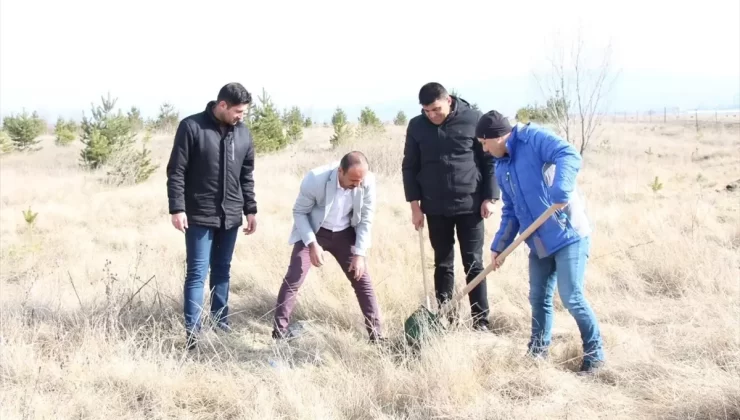 Ardahan’da Fidan Dikim Etkinliği