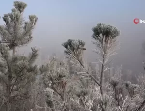 Ardahan’da Soğuk Hava Etkili