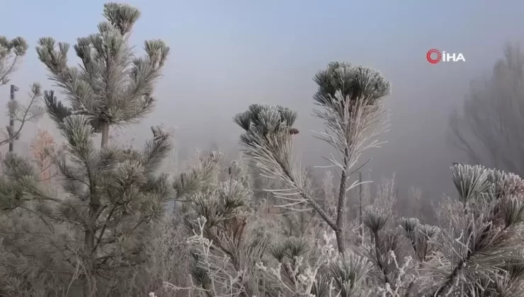 Ardahan’da Soğuk Hava Etkili