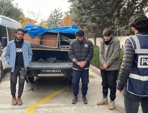 Arı Kovanlarında Düzensiz Göçmenler Yakalandı