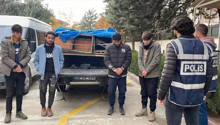 Arı Kovanlarında Düzensiz Göçmenler Yakalandı