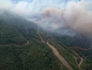 Arsuz’daki Orman Yangını Kontrol Altında