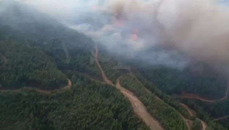 Arsuz’daki Orman Yangını Kontrol Altında