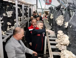 Artvin’de Mantar Üretim Tesisine Vali Ziyareti
