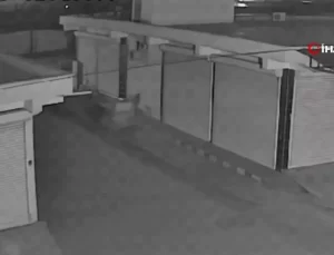 At Arabasıyla Kapı Hırsızlığı