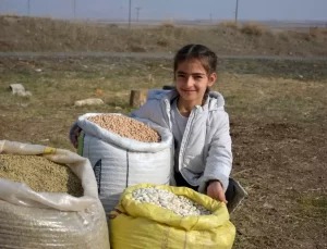 Ata Tohumlarıyla Kazanç Sağlıyor