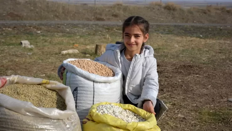 Ata Tohumlarıyla Kazanç Sağlıyor