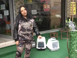 Avcılar’da Gül Ağacı Hırsızlığı: Güvenlik Kamerası Kaydetti